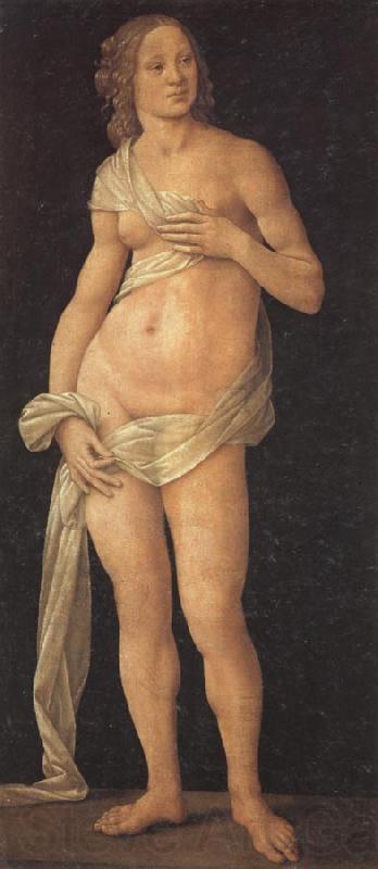 LORENZO DI CREDI Venus Germany oil painting art